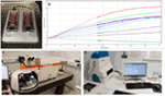 Frontiers | Tissue-Engineered Solutions in Plastic and Reconstructive ...