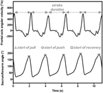 Frontiers | Behavioral Dynamics in Swimming: The Appropriate Use of ...