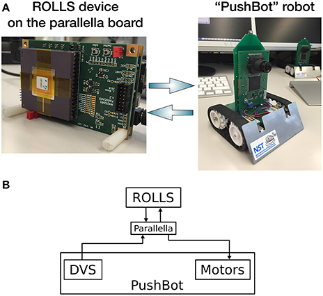 Silicon retinas to help robots navigate the world - Advanced Science News