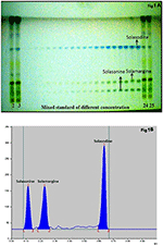 Frontiers | UPLC-ESI-MS/MS and HPTLC Method for Quantitative Estimation ...