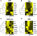 Frontiers | Evolution Of Daily Gene Co-expression Patterns From Algae ...