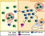 Frontiers | Natural Killers Are Made Not Born: How to Exploit NK Cells ...