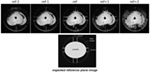 Frontiers | Apparatus for Histological Validation of In Vivo and Ex ...