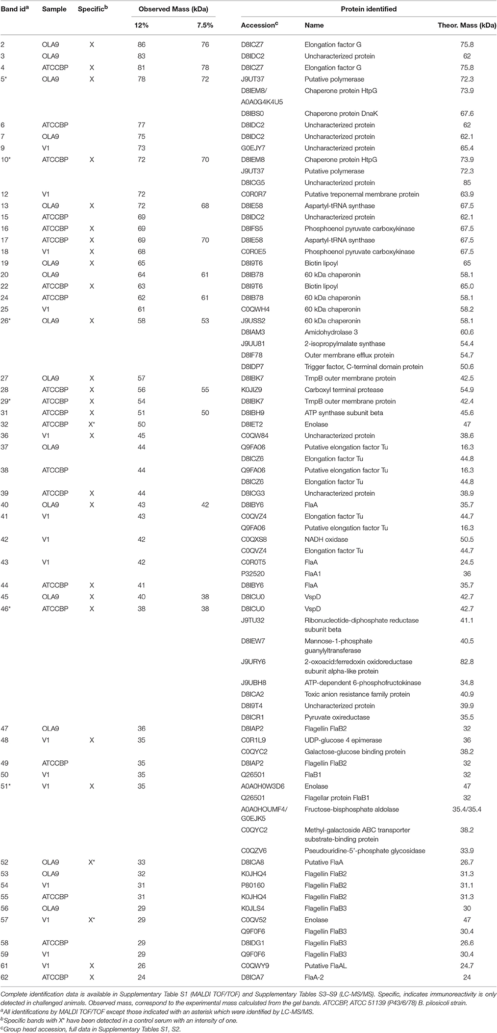 Frontiers | Brachyspira hyodysenteriae and B. pilosicoli Proteins ...