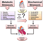 Frontiers | Metabolic and Biochemical Stressors in Diabetic ...