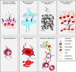 Frontiers | Mechanisms Of Autoantibody-Induced Pathology | Immunology