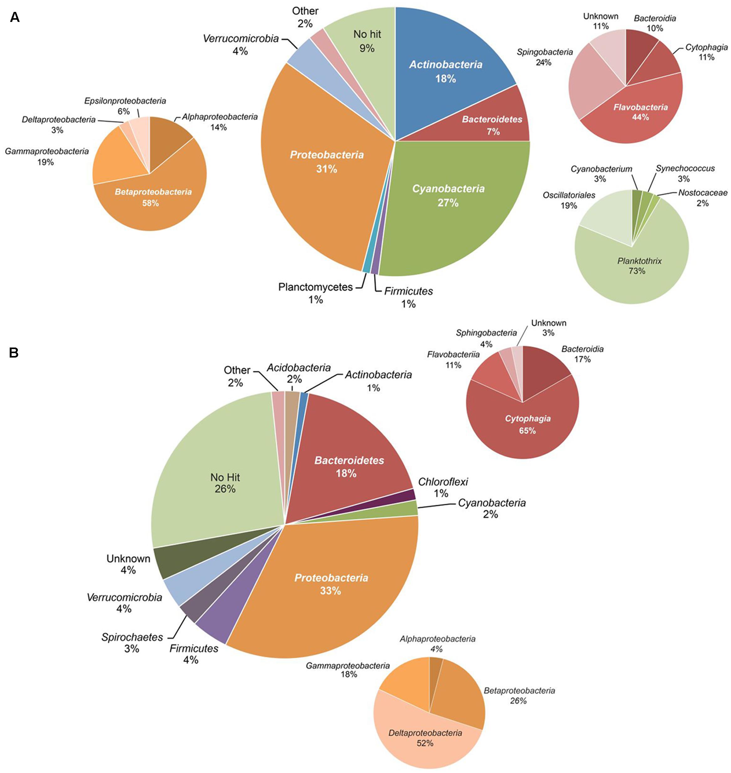 Frontiers | Succession of Bacterial Communities in a Seasonally ...