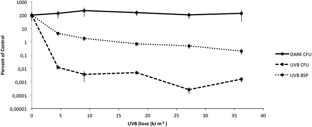 Cytotoxicity of BAL1 (Left) and cell survival rate after UVA damage