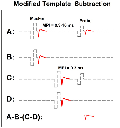 Examination and Comparison of Electrically Evoked Compound Action