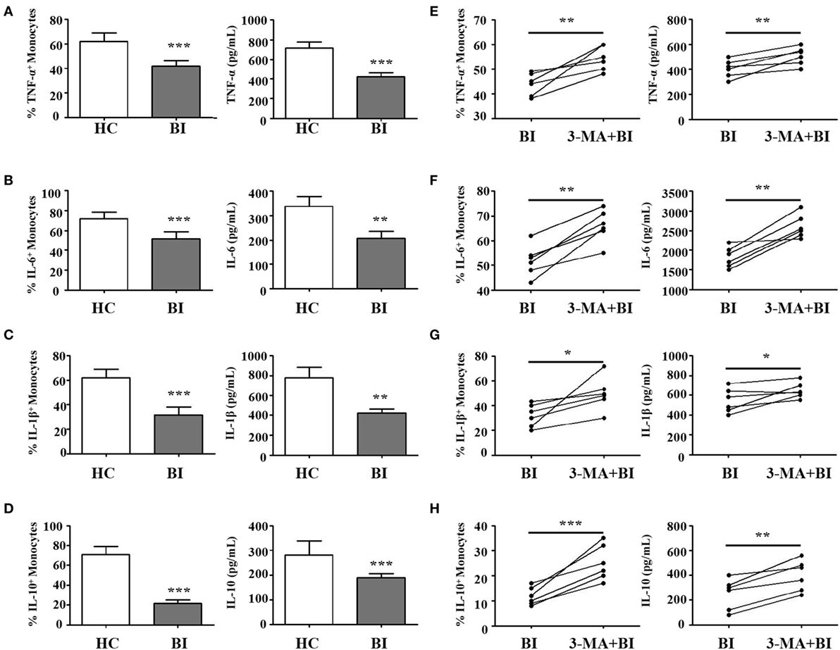 Frontiers | Brucella Dysregulates Monocytes and Inhibits Macrophage ...