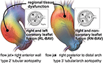 Frontiers | Evolution of Precision Medicine and Surgical Strategies for ...