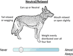 Frontiers | Application of Survival Analysis and Multistate Modeling to ...