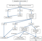 Frontiers | Management of High-Grade Penile Curvature Associated With ...