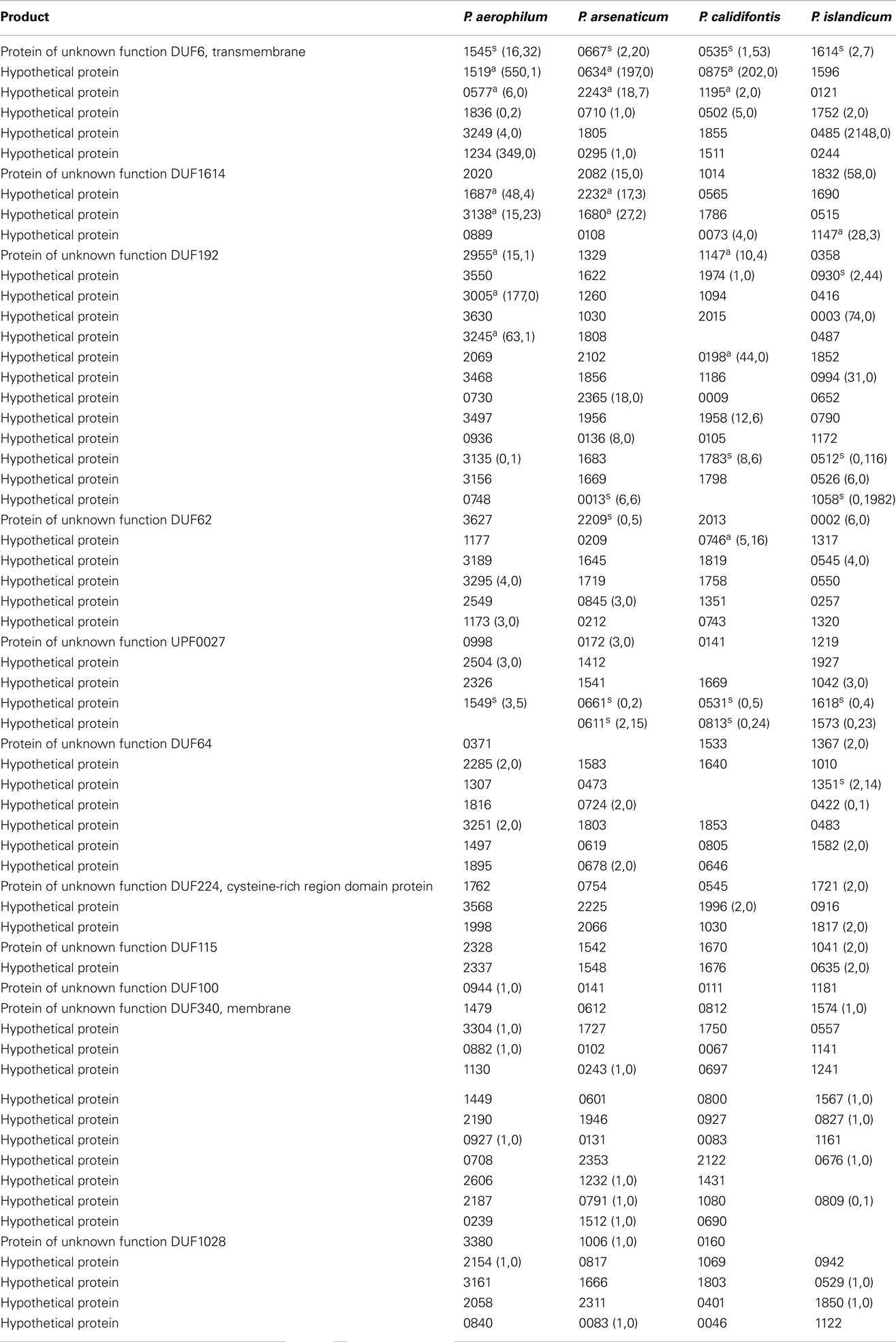 Frontiers | Diversity of Antisense and Other Non-Coding RNAs in Archaea ...