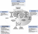 Frontiers | How Do Stress Exposure and Stress Regulation Relate to ...