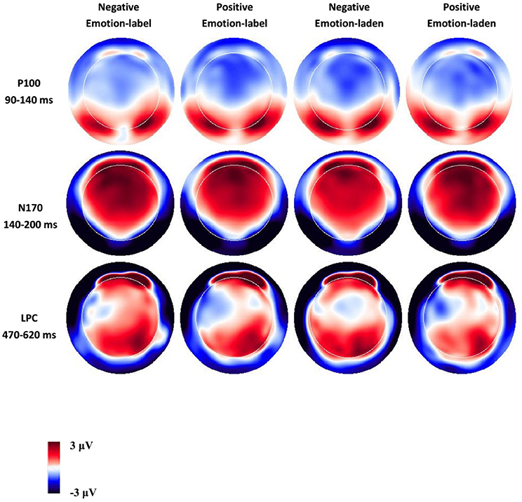 Frontiers Different Neural Correlates Of Emotion Label Words And Emotion Laden Words An ERP Study