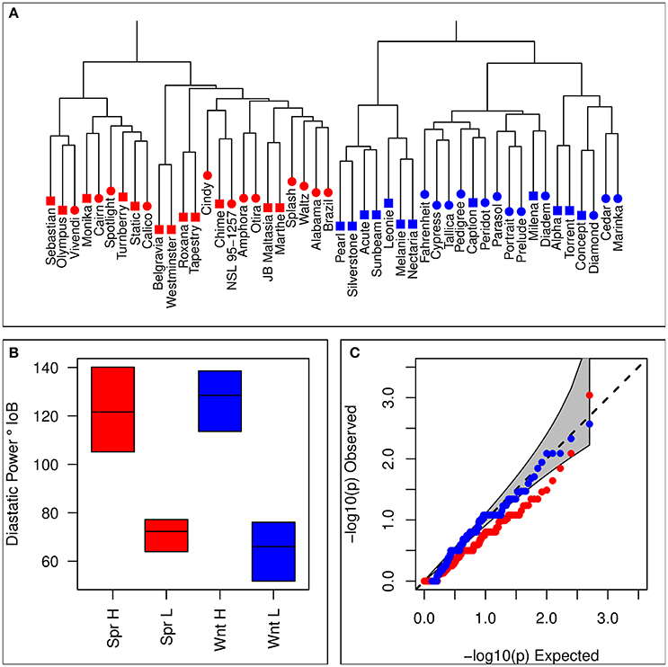 Frontiers Association Mapping of Diastatic Power in UK Winter and