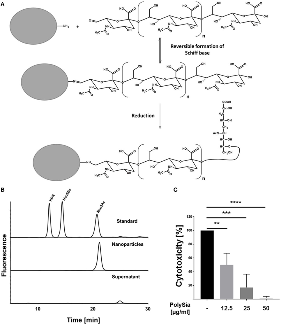 Frontiers - Artificial Polysialic Acid Chains as Sialidase-Resistant ...