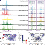 Frontiers | Usage of FT-ICR-MS Metabolomics for Characterizing the ...