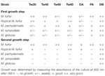 Frontiers | Lipid Metabolic Versatility in Malassezia spp. Yeasts ...