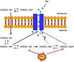 Frontiers | Dual Action of Mexiletine and Its Pyrroline Derivatives as ...