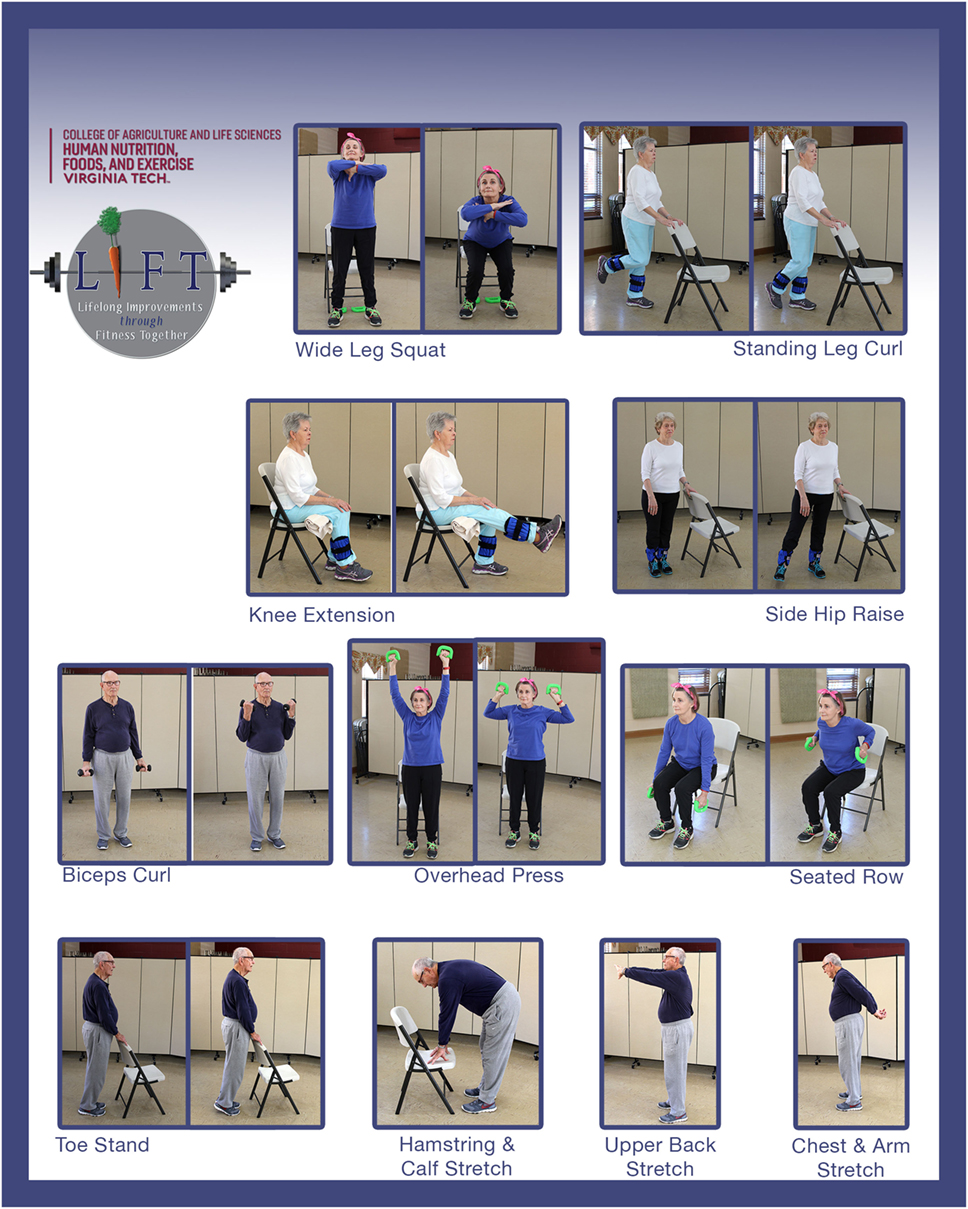 Frontiers | Informed Adaptations of a Strength-Training Program through ...