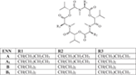 Frontiers | A Review Of The Mycotoxin Enniatin B | Public Health