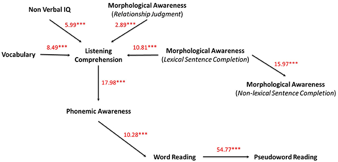 Frontiers What Is The Influence Of Morphological Knowledge In The Early Stages Of Reading Acquisition Among Low Ses Children A Graphical Modeling Approach Psychology
