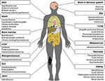 Frontiers | Drugs and Targets in Fibrosis | Pharmacology