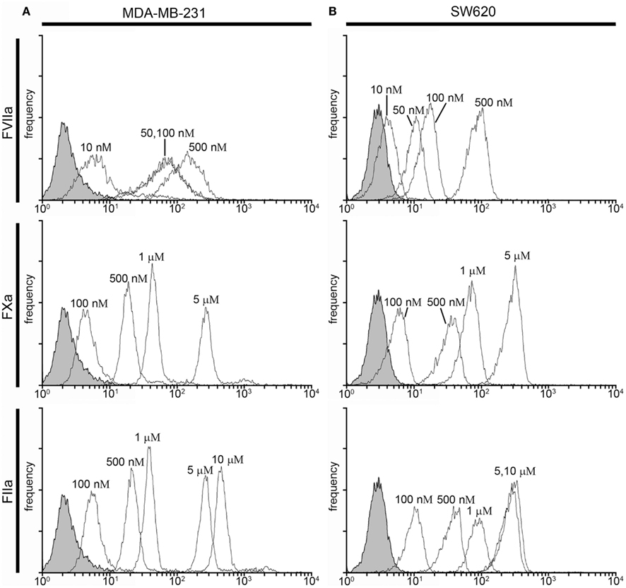 Frontiers | Development of Coagulation Factor Probes for the ...