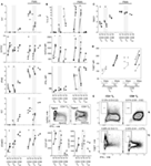 Frontiers | Exposure of Human CD8+ T Cells to Type-2 Cytokines Impairs ...