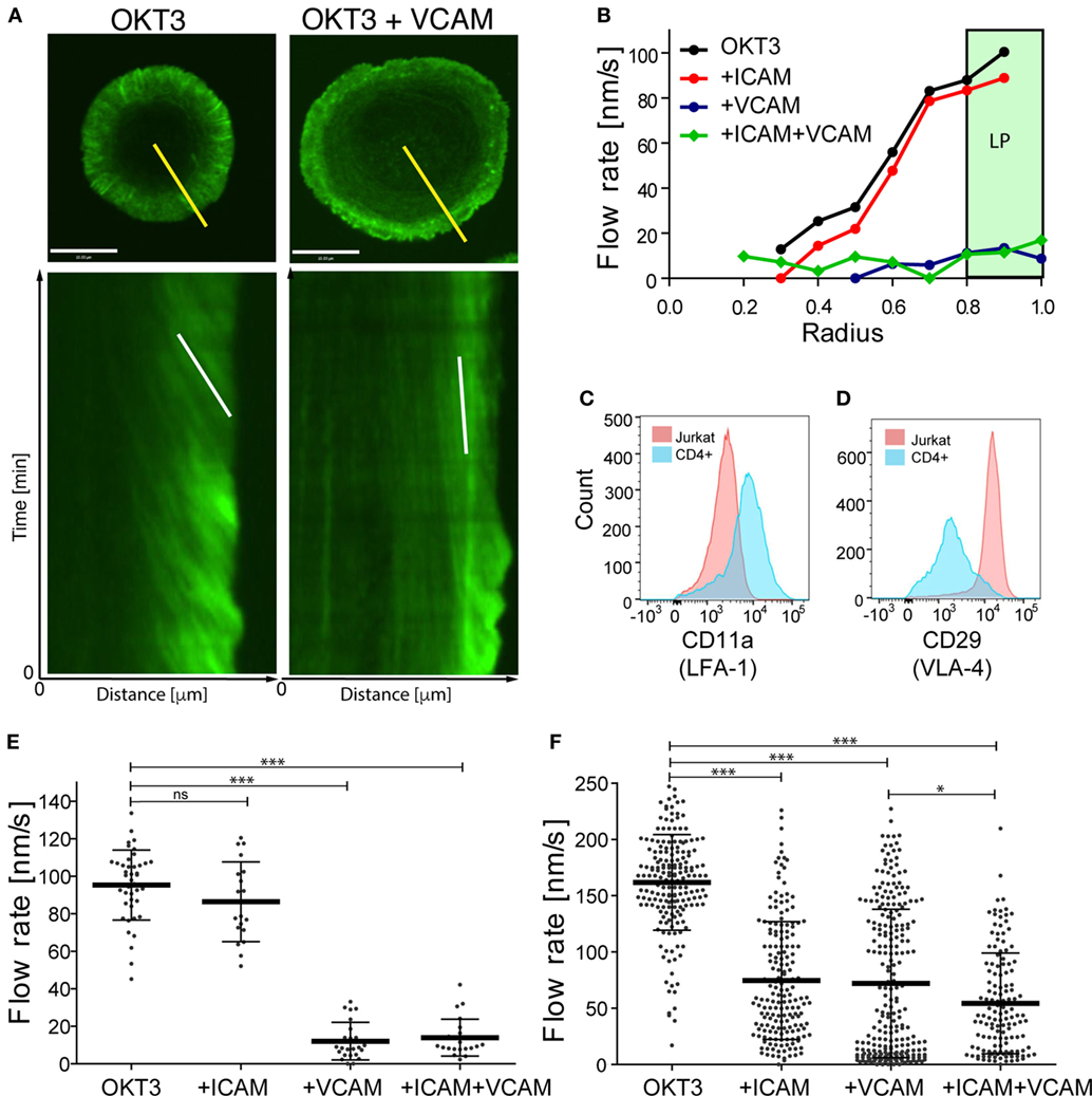 Frontiers Integrins Modulate T Cell Receptor Signaling By Constraining Actin Flow At The Immunological Synapse Immunology
