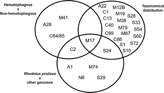 Frontiers | Genome Wide Mapping of Peptidases in Rhodnius prolixus ...