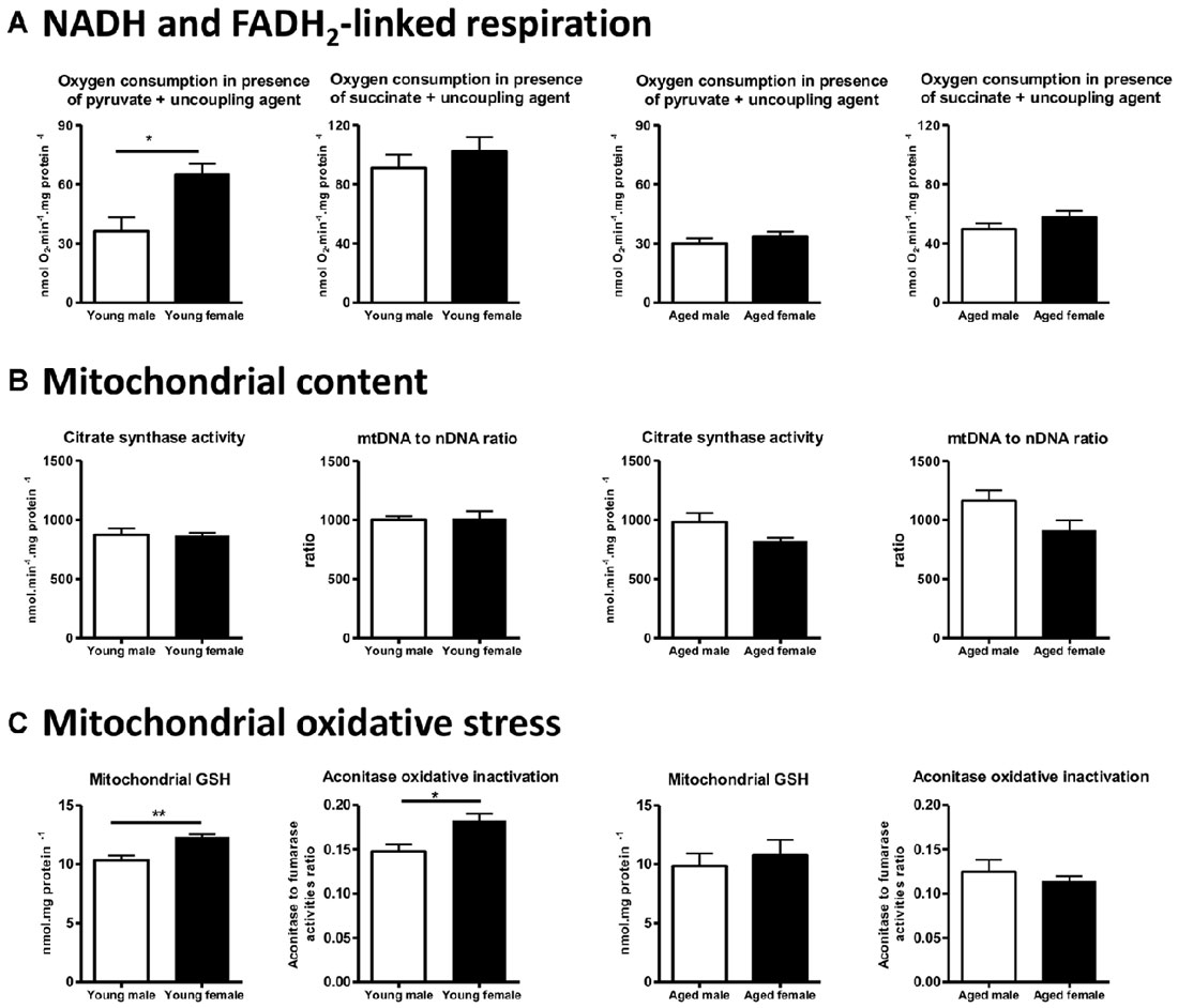 Frontiers Role Of Sex Hormones On Brain Mitochondrial Function With Special Reference To 4065
