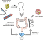 Frontiers | Lactococcus lactis As a Versatile Vehicle for Tolerogenic ...