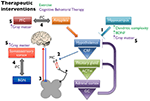 Frontiers | Potential Mechanisms Underlying Centralized Pain and ...