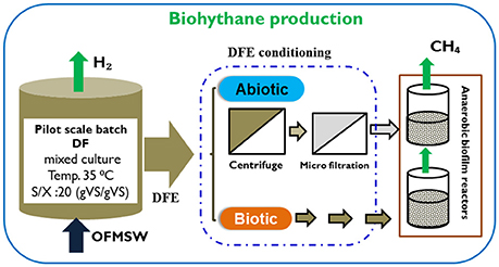 Effect of propionate-cultured sludge augmentation on methane