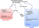 Frontiers | Reconsideration of Amyloid Hypothesis and Tau Hypothesis in ...