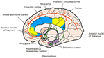 Frontiers | Deep Brain Stimulation: A Potential Treatment for Dementia ...