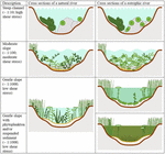 Frontiers | Responses of Aquatic Plants to Eutrophication in Rivers: A ...