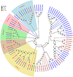 Frontiers | Sex- and Tissue-Specific Expression Profiles of Odorant ...