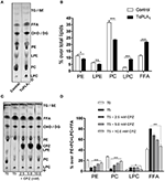 Lpc lipid