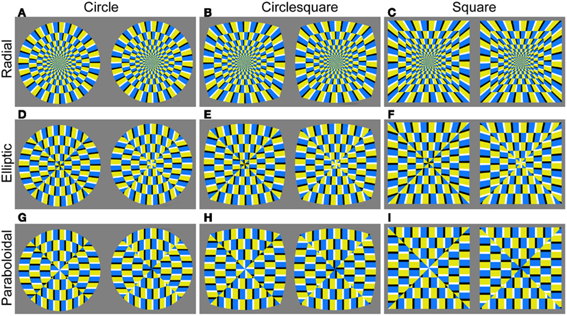 Frontiers | Anomalous Motion Illusion Contributes to Visual Preference ...