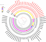 Frontiers | Listeria monocytogenes Sequence Types 121 and 14 Repeatedly ...