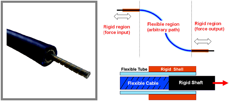 Dynamic and Static Characteristics of Double Push Rods