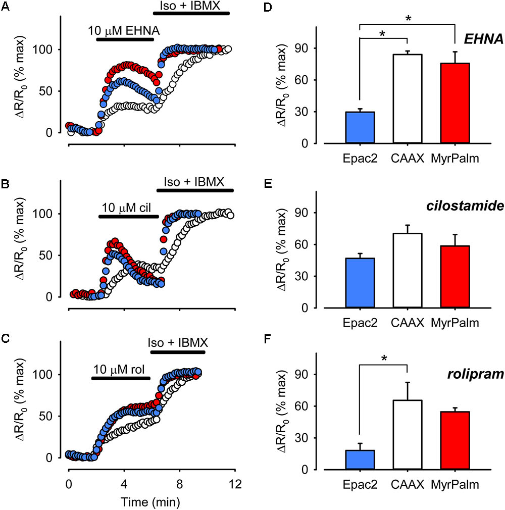 Frontiers Compartmentalized Camp Signaling Associated With Lipid Raft And Non Raft Membrane