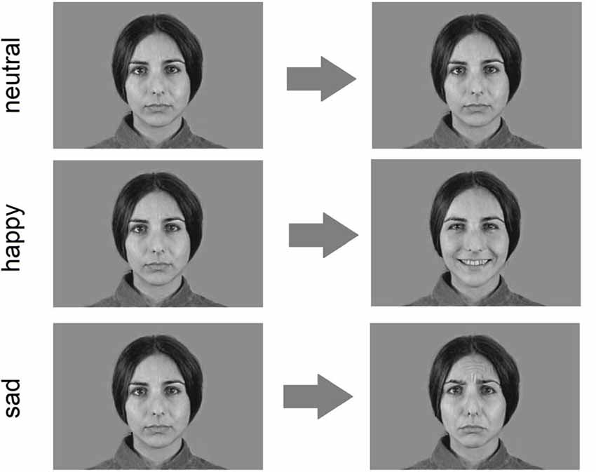 Frontiers Sex Differences In Affective Facial Reactions Are Present Free Download Nude Photo