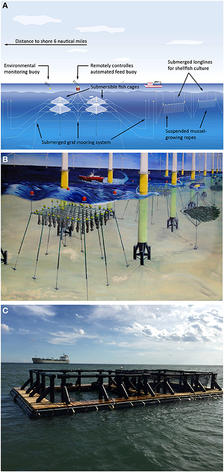 Frontiers  State of the Art and Challenges for Offshore Integrated  Multi-Trophic Aquaculture (IMTA)