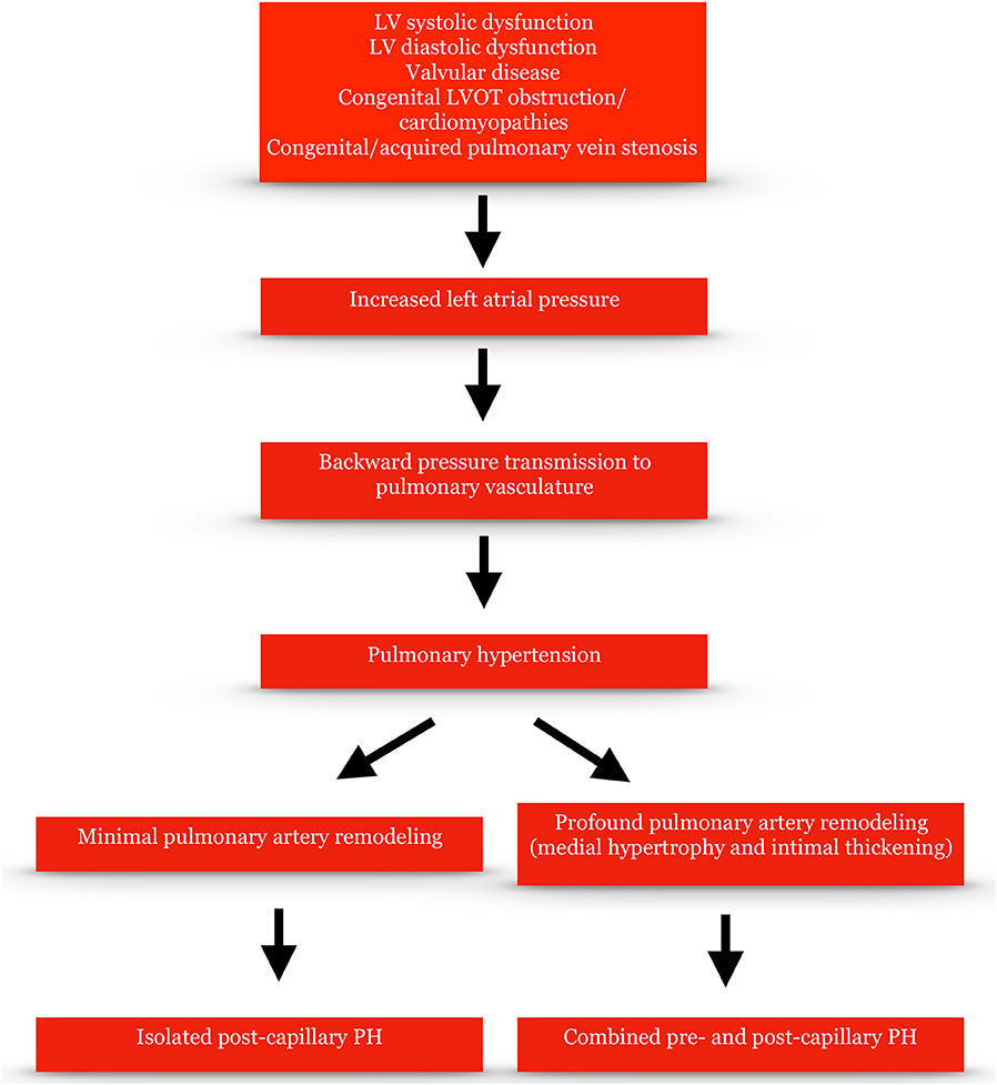 Frontiers Pathophysiology And Diagnosis Of Pulmonary Hypertension Due 