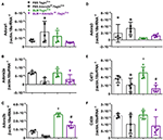 Frontiers | Switching-Off Adora2b in Vascular Smooth Muscle Cells Halts ...